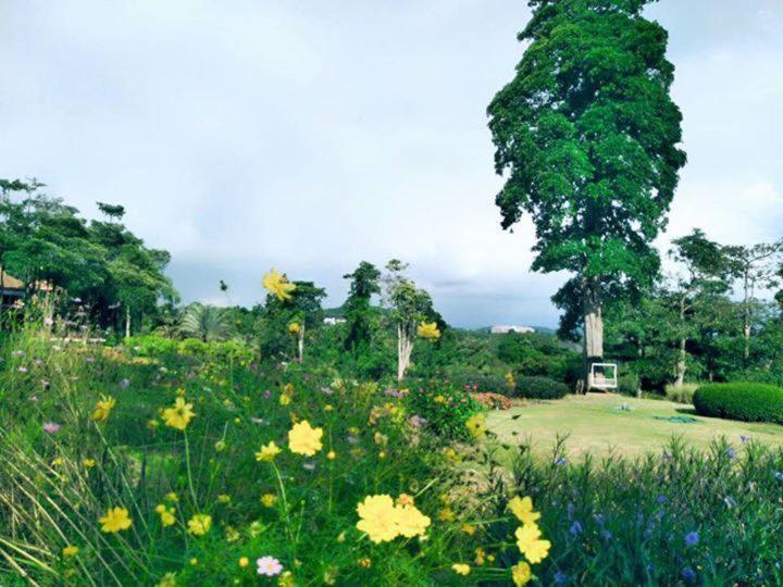 Arayana Phupimarn Resort & Spa Pak Chong Eksteriør billede