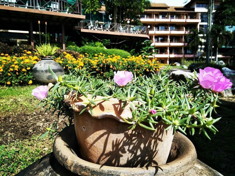 Arayana Phupimarn Resort & Spa Pak Chong Eksteriør billede